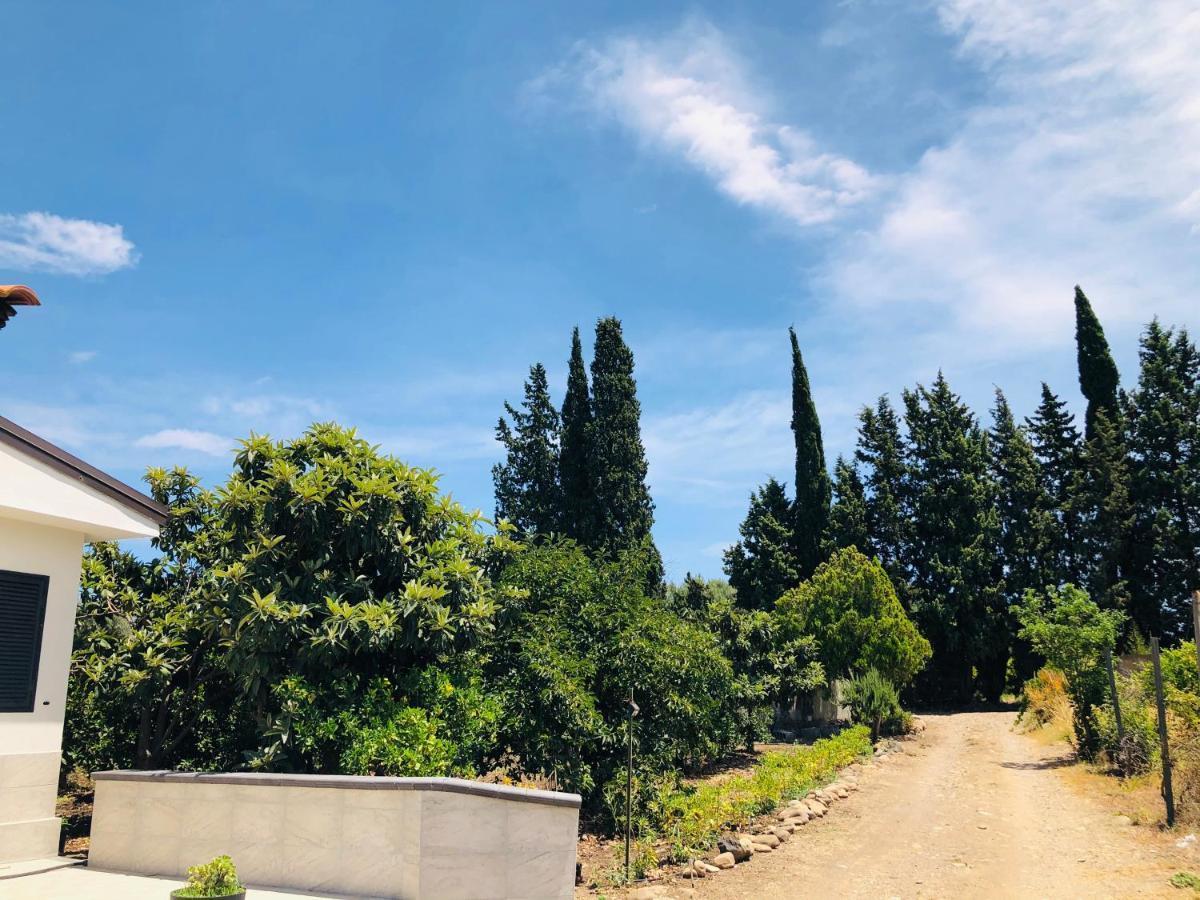 Villetta Gallo B&B Casa Vacanze Humanitas Catania Centro Sicilia Clinica Humanitas Misterbianco Eksteriør billede